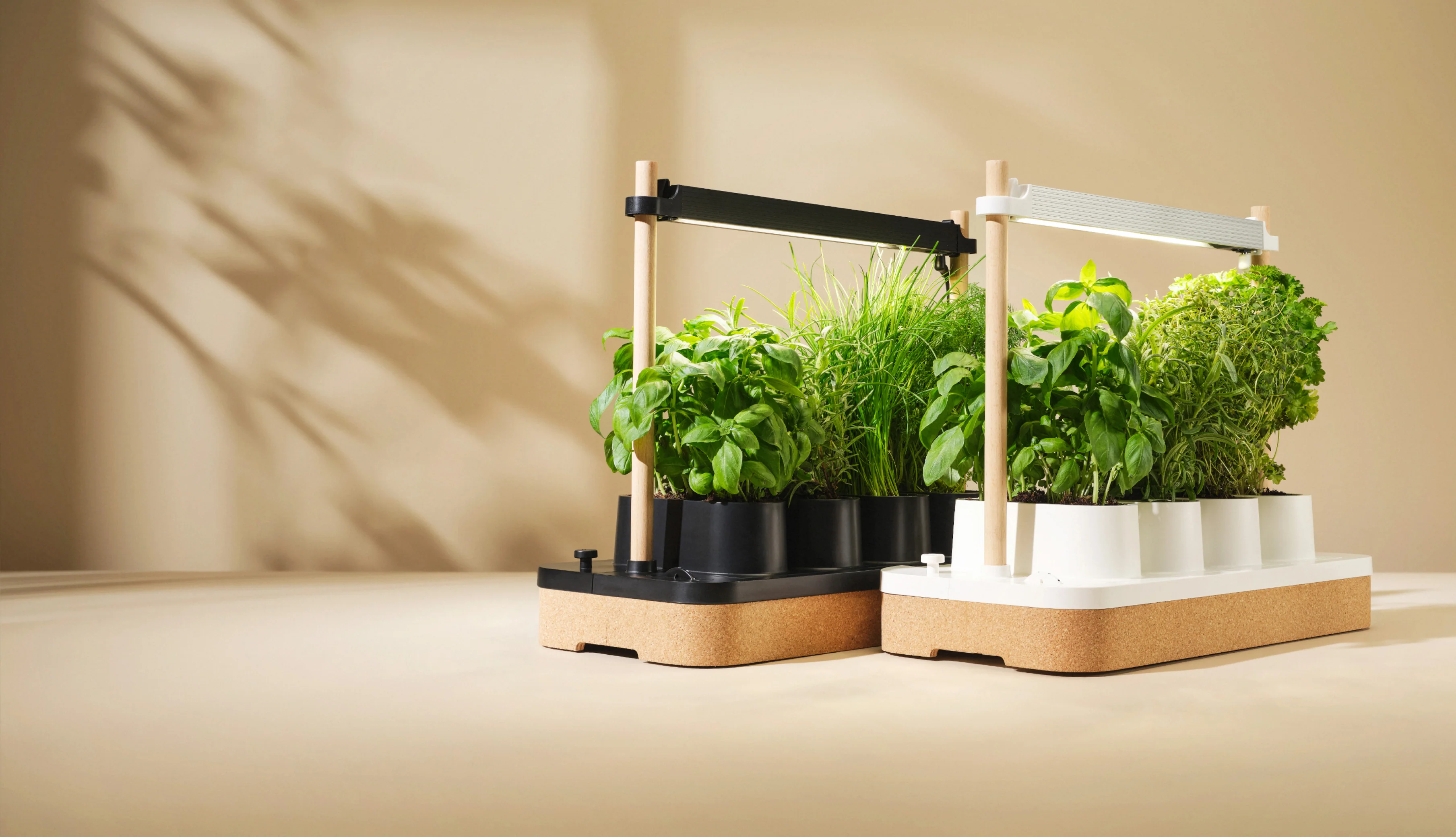 Fresh Herbs, Grown by Science